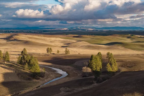 $1,400,000 | 1403 West Jennings Road, Spangle, WA 99031
