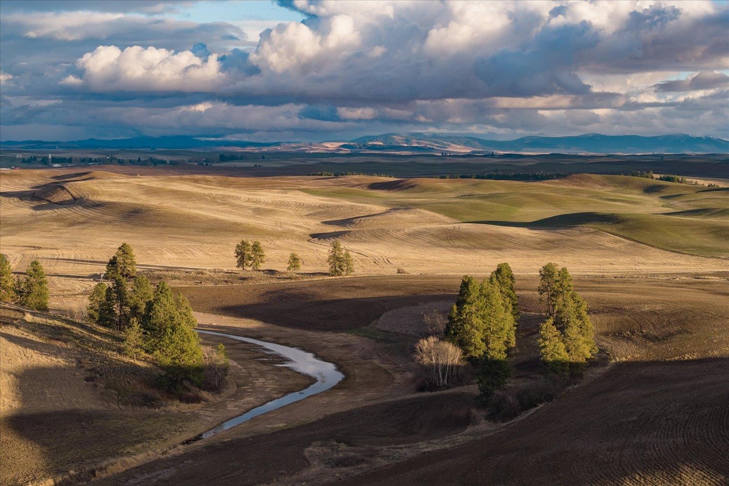 1403 West Jennings Road Spangle, WA 99031 - Photo 24 of 24