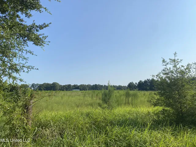 $168,000 | 63 S Highway, Lucedale, MS 39452