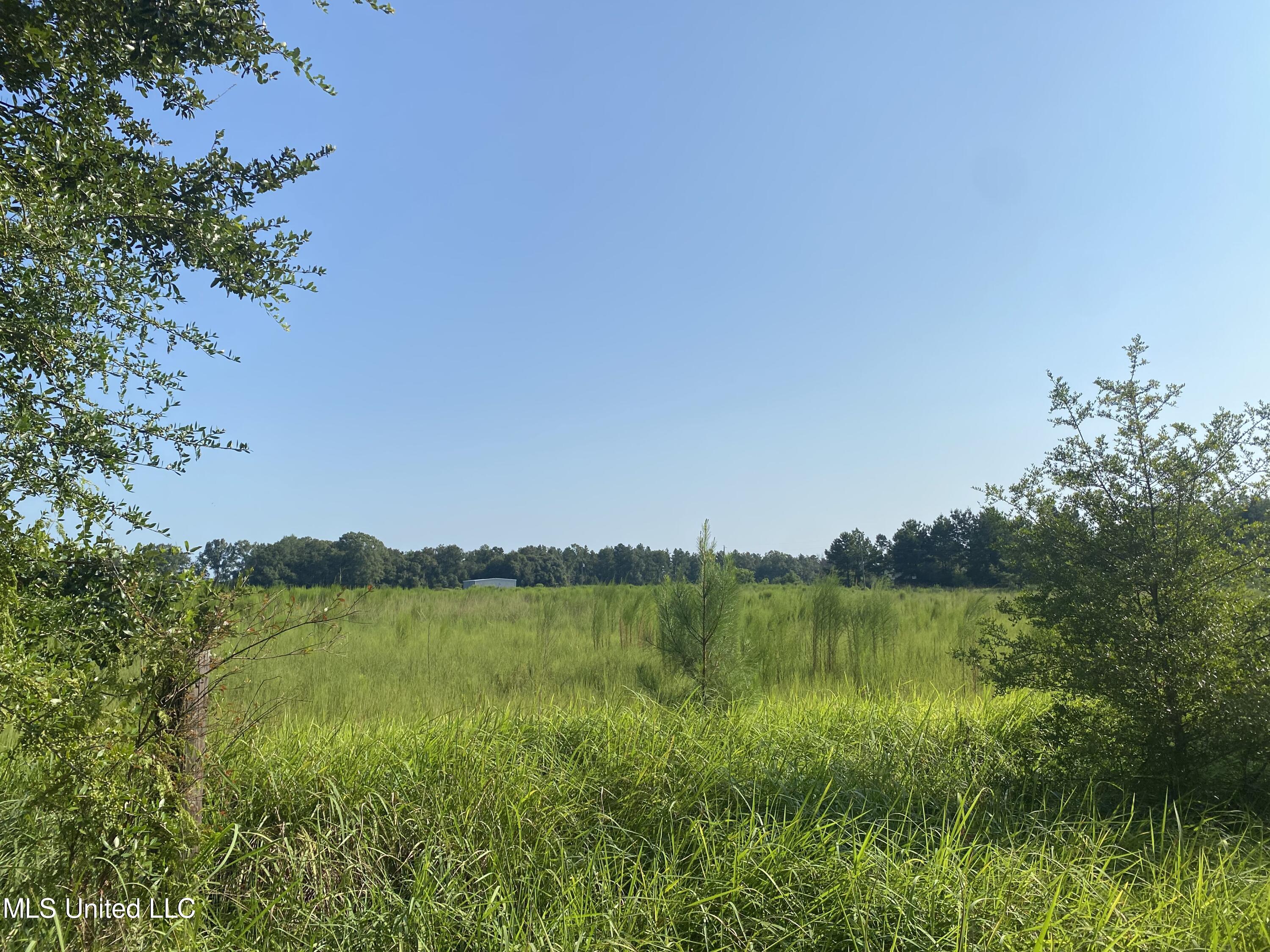 63 S Highway Lucedale, MS 39452 - Photo 3 of 7 IMG_4374