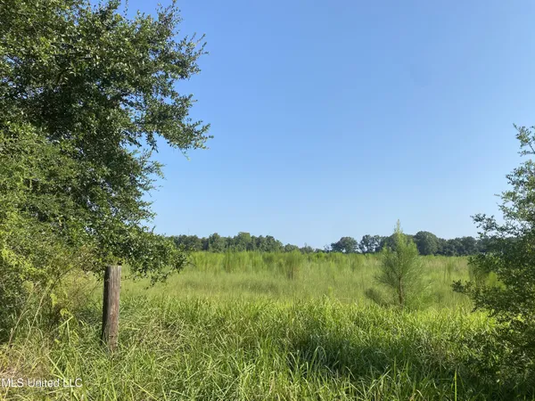 $168,000 | 63 S Highway, Lucedale, MS 39452