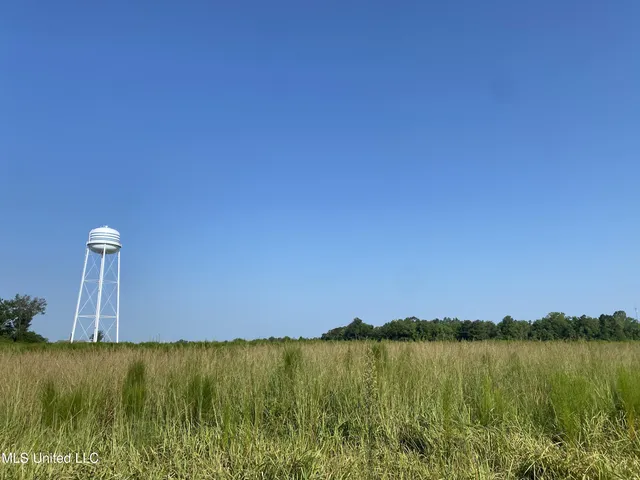 $168,000 | 63 S Highway, Lucedale, MS 39452