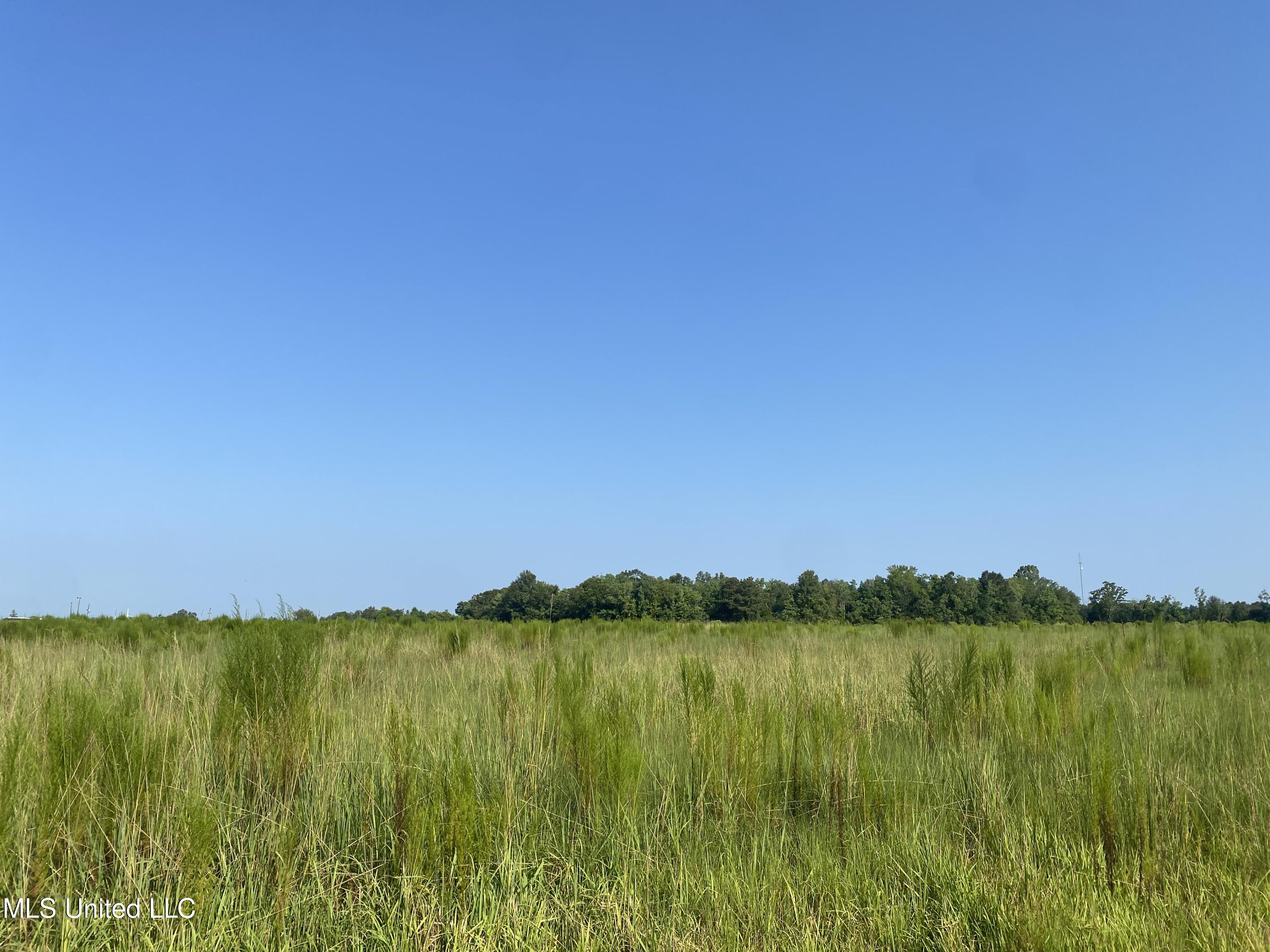 63 S Highway Lucedale, MS 39452 - Photo 6 of 7 IMG_4377