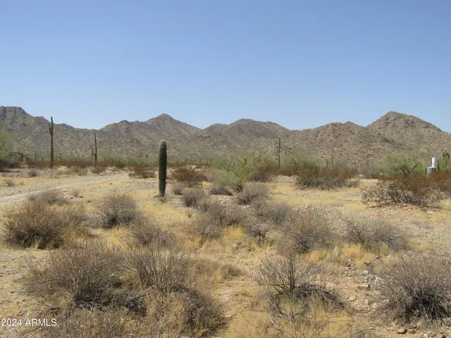a view of a dry yard with mountains in the background