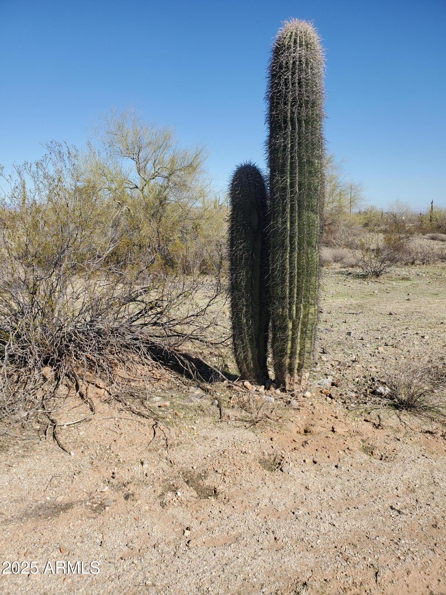 0 West Momoli Road, Unit 24 Maricopa, AZ 85139 - Photo 11 of 11 a view of roof field
