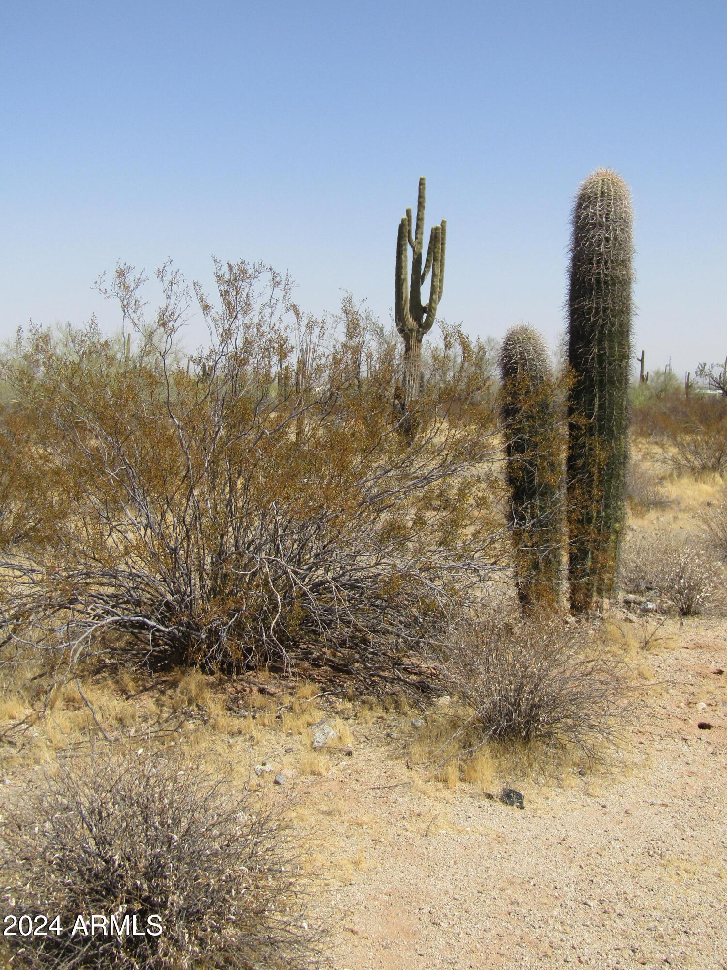 0 West Momoli Road, Unit 24 Maricopa, AZ 85139 - Photo 2 of 11 a view of a dry yard with a tree