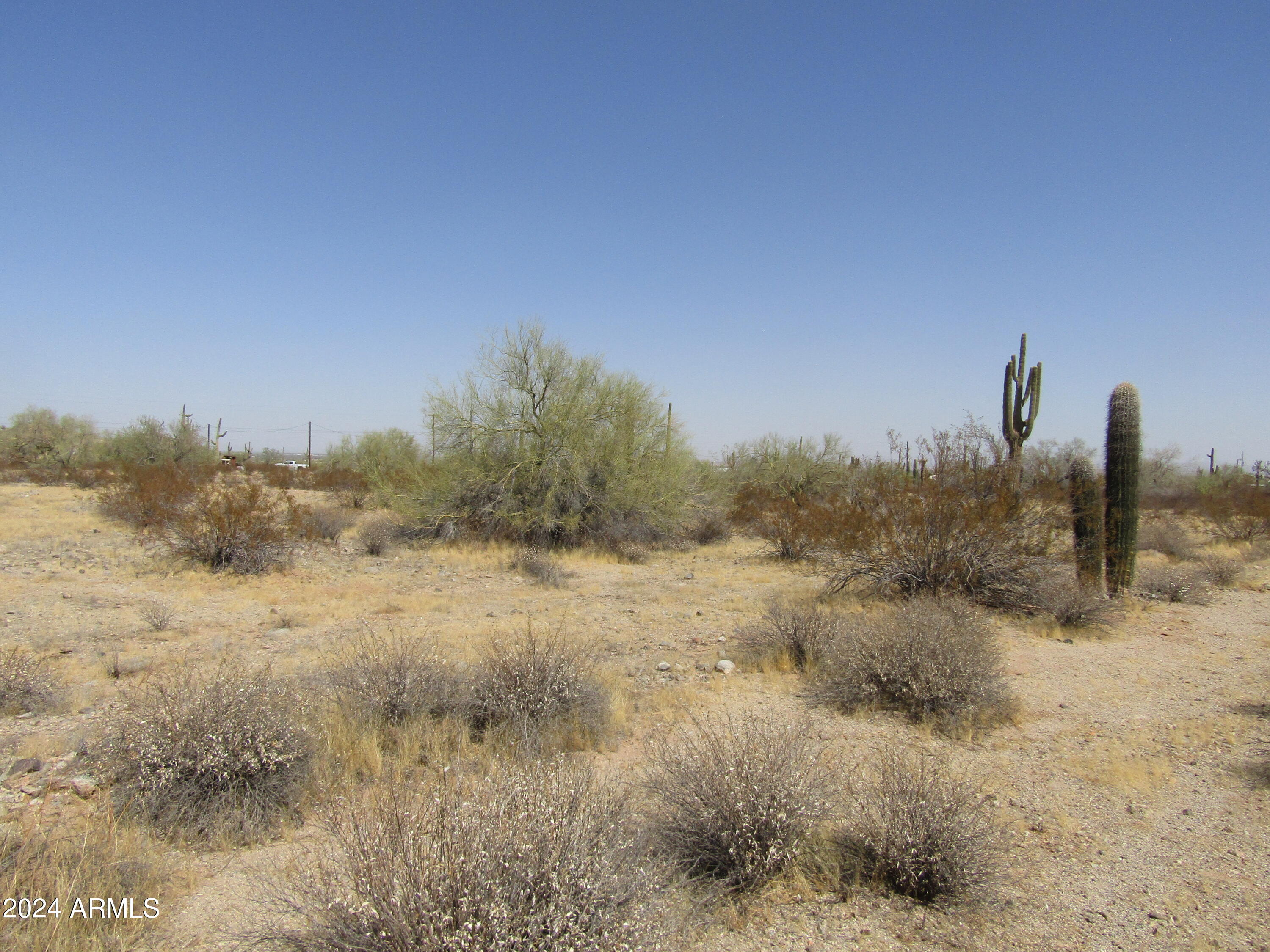 0 West Momoli Road, Unit 24 Maricopa, AZ 85139 - Photo 3 of 11 a view of a dry yard with trees