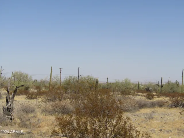 a view of a city with lots of trees