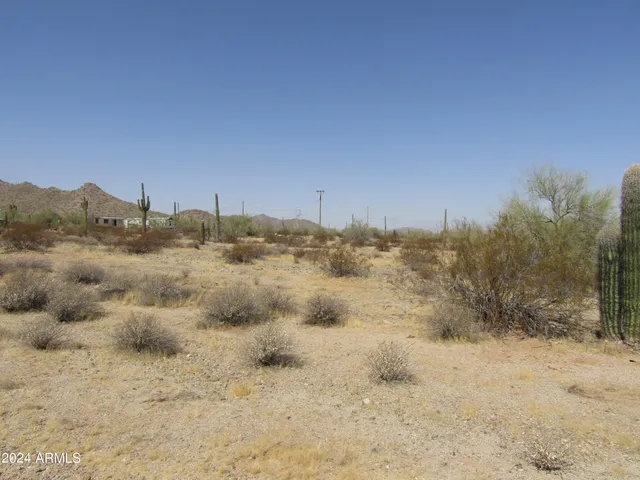 a view of a dry yard with trees