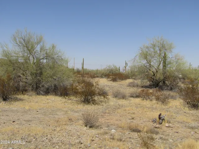 a view of a dry yard covered with snow in front of house