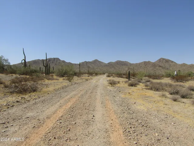a view of a dry field with mountains in the background
