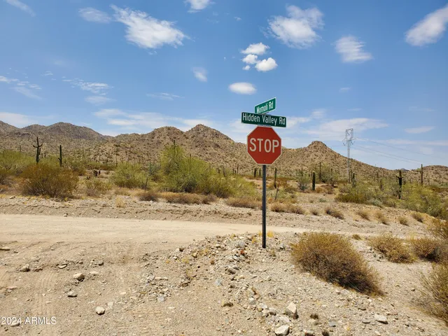 a very nice looking yard