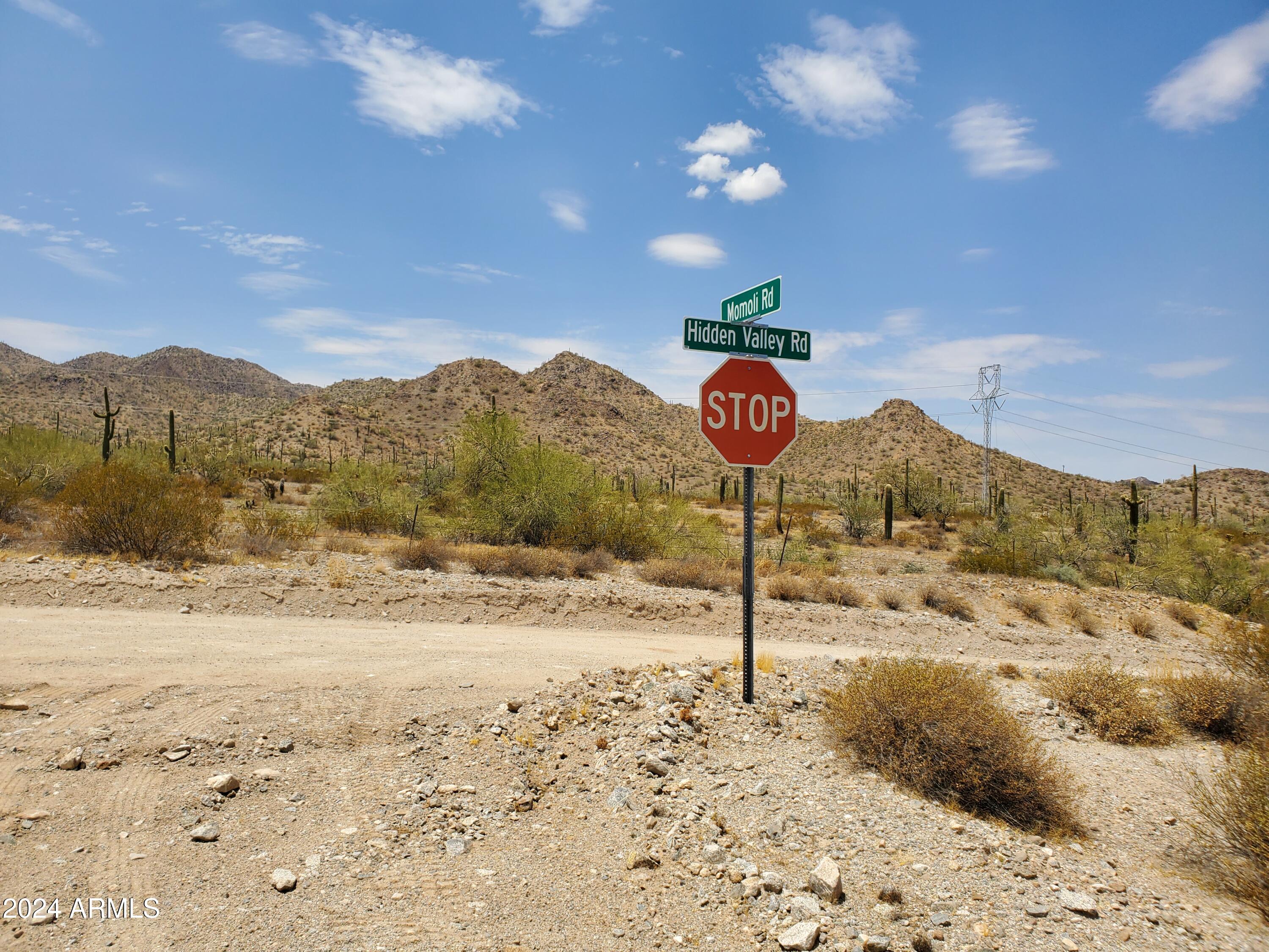 0 West Momoli Road, Unit 24 Maricopa, AZ 85139 - Photo 9 of 11 a very nice looking yard