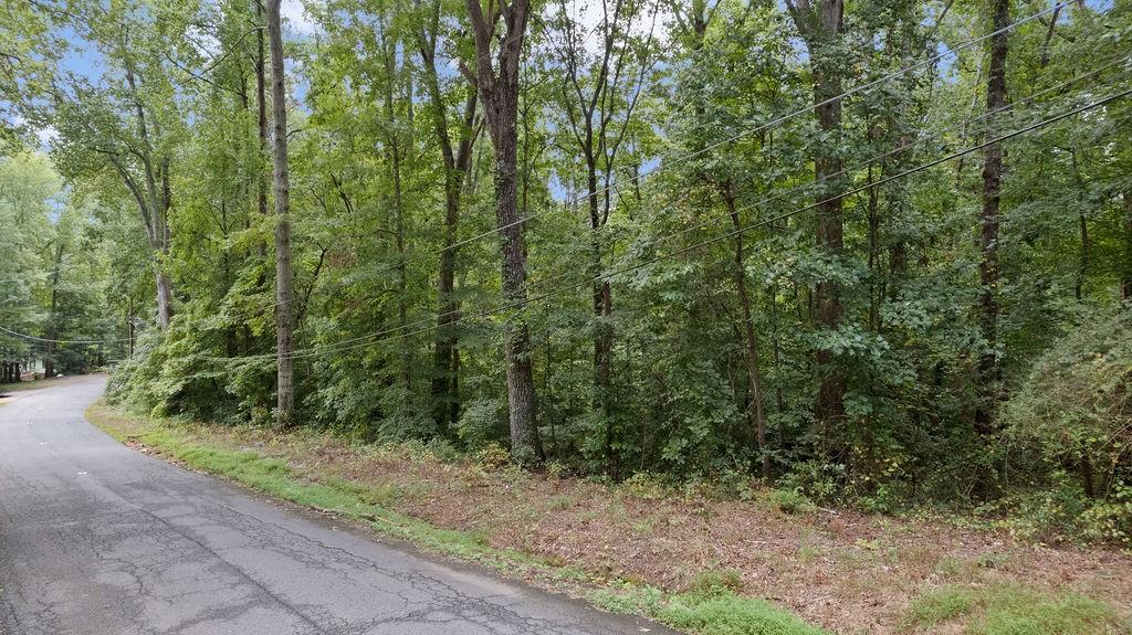 174 Wheeler Martin Drive Canton, GA 30115 - Photo 11 of 11