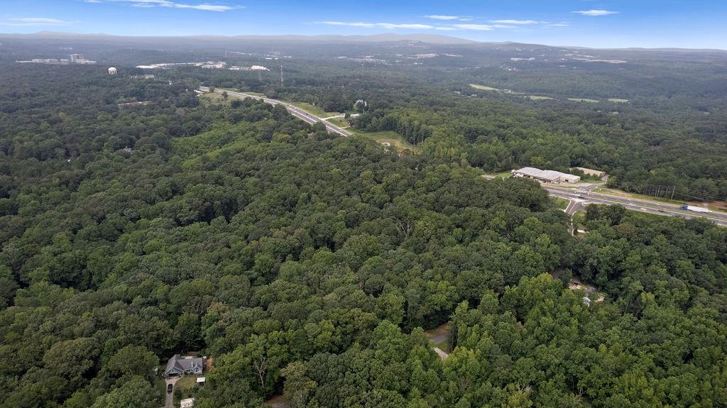 174 Wheeler Martin Drive Canton, GA 30115 - Photo 2 of 11