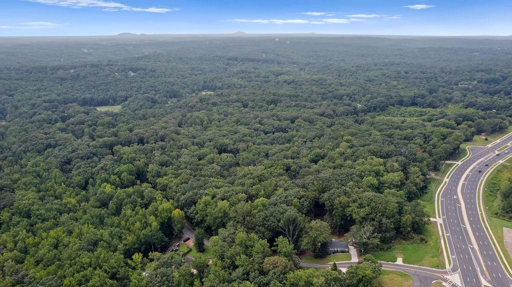 174 Wheeler Martin Drive Canton, GA 30115 - Photo 4 of 11