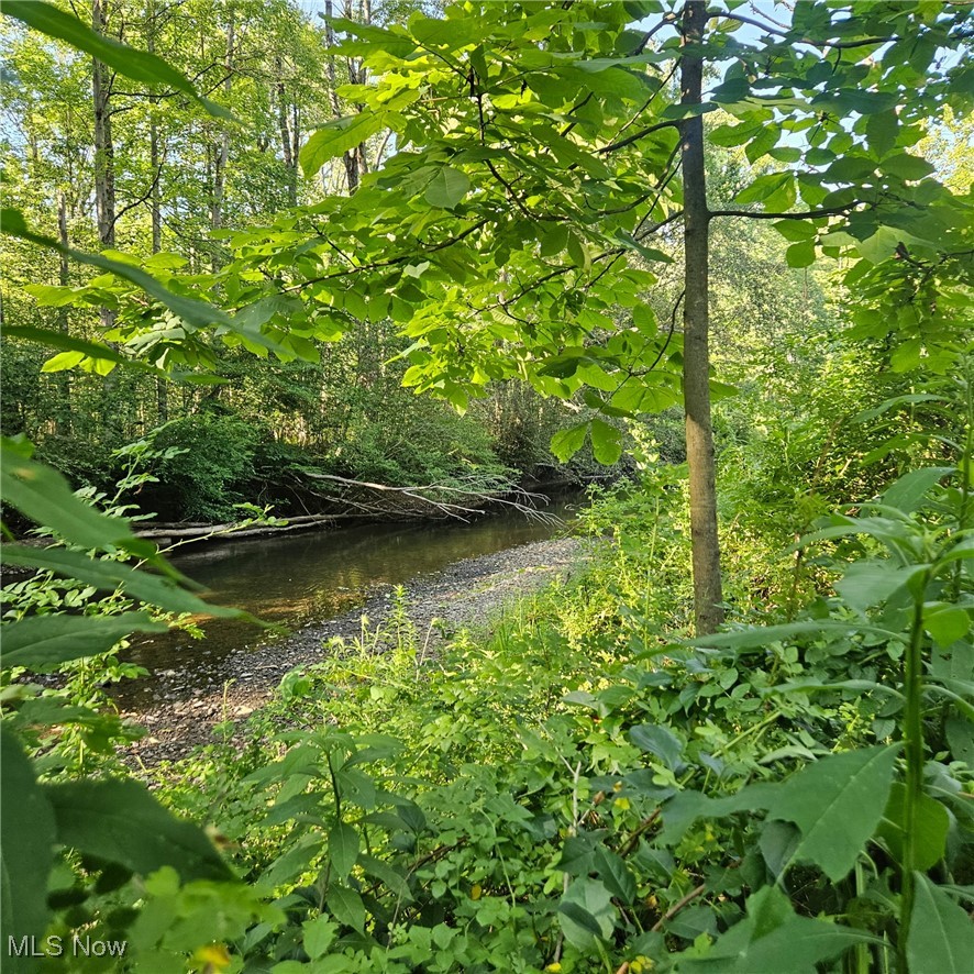 13610 Sperry Road Novelty, OH 44072 - Photo 41 of 42 Amazing summer views of the Chagrin River!