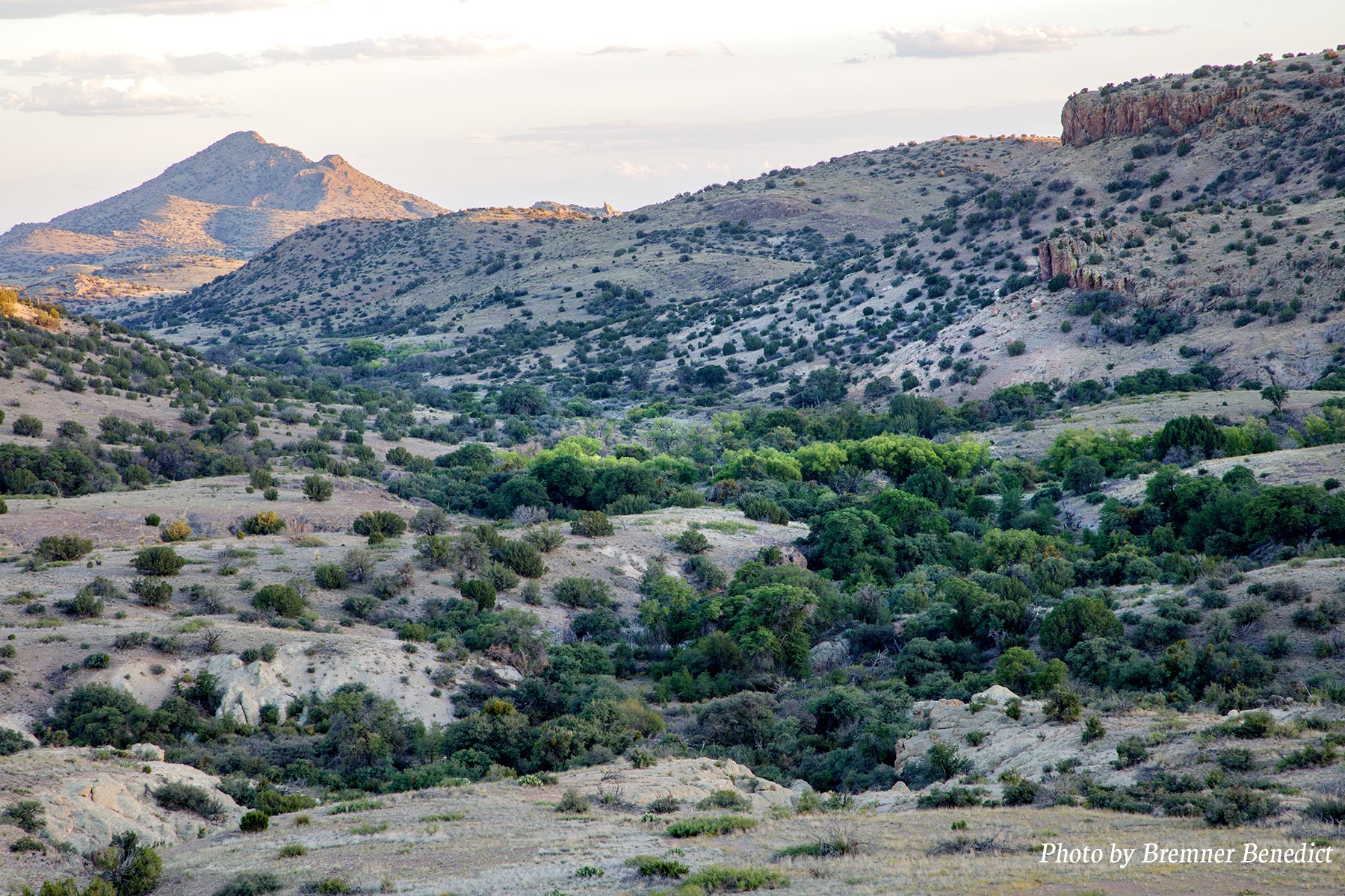 Pitchfork Pitchfork Ranch Silver City, NM 88061 - Photo 2 of 56