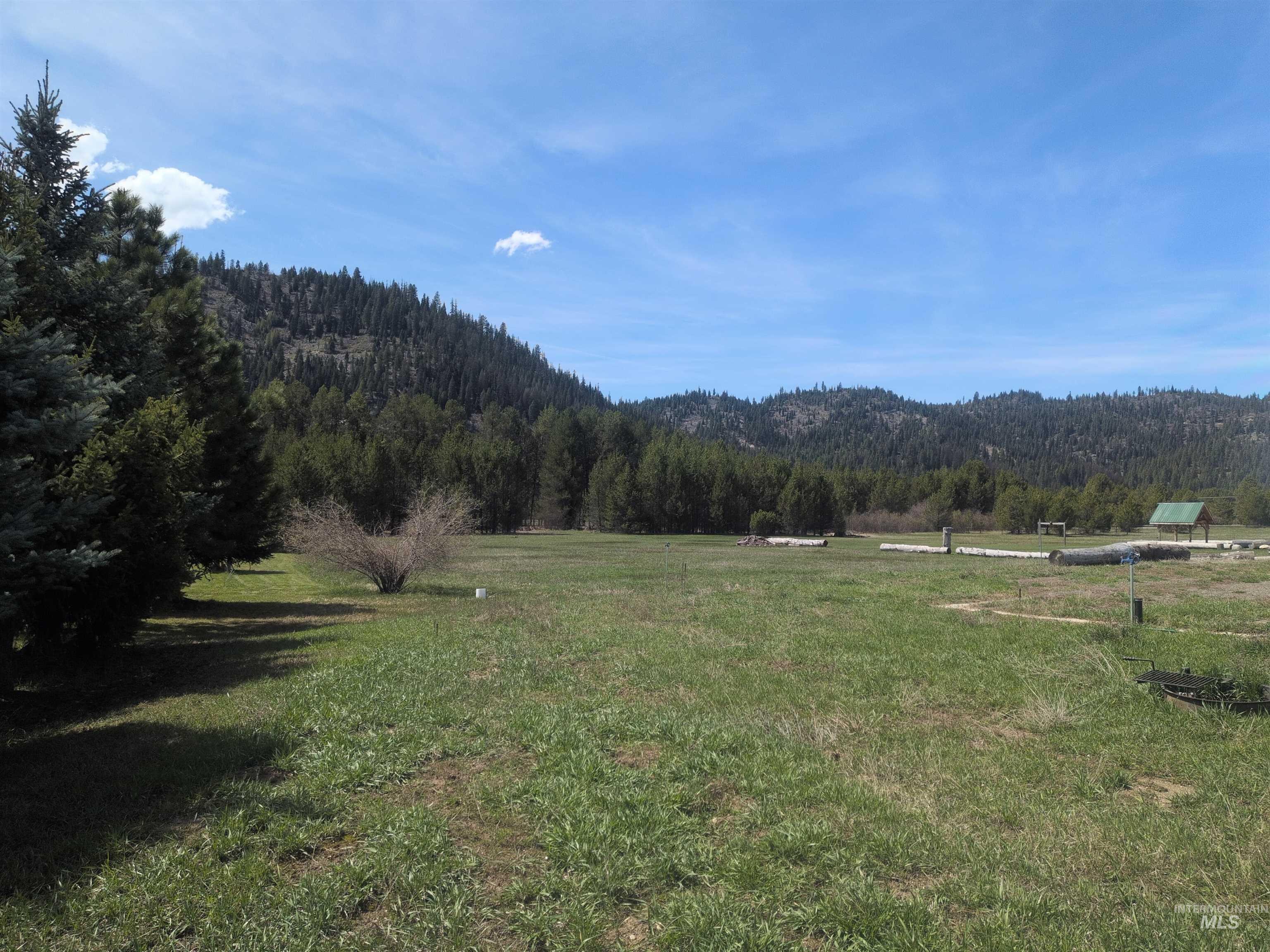 9675 Packer John Road Cascade, ID 83611 - Photo 3 of 4 South property line looking west
