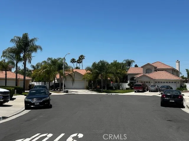 a street with cars and palm trees