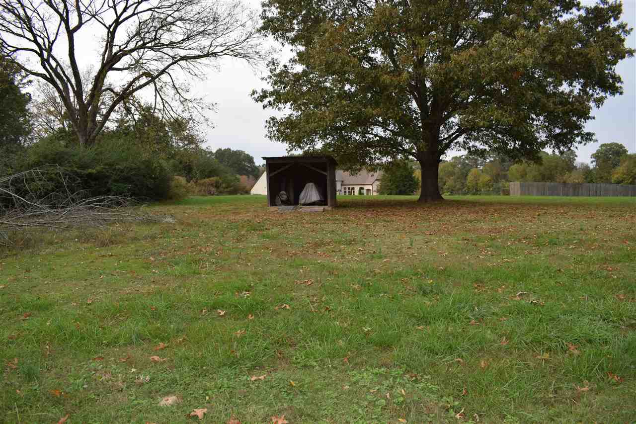 9336 Pleasant Ridge Road Arlington, TN 38002 - Photo 4 of 14
