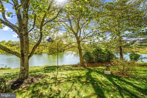 a backyard of a house with plants and large trees
