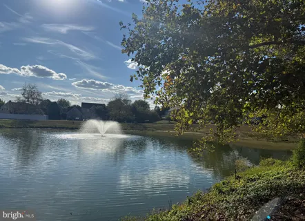 a view of yard with tree in the background