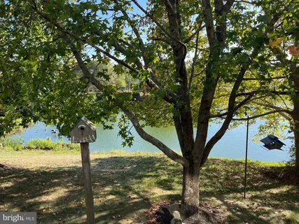 a view of a tree in the middle of a yard