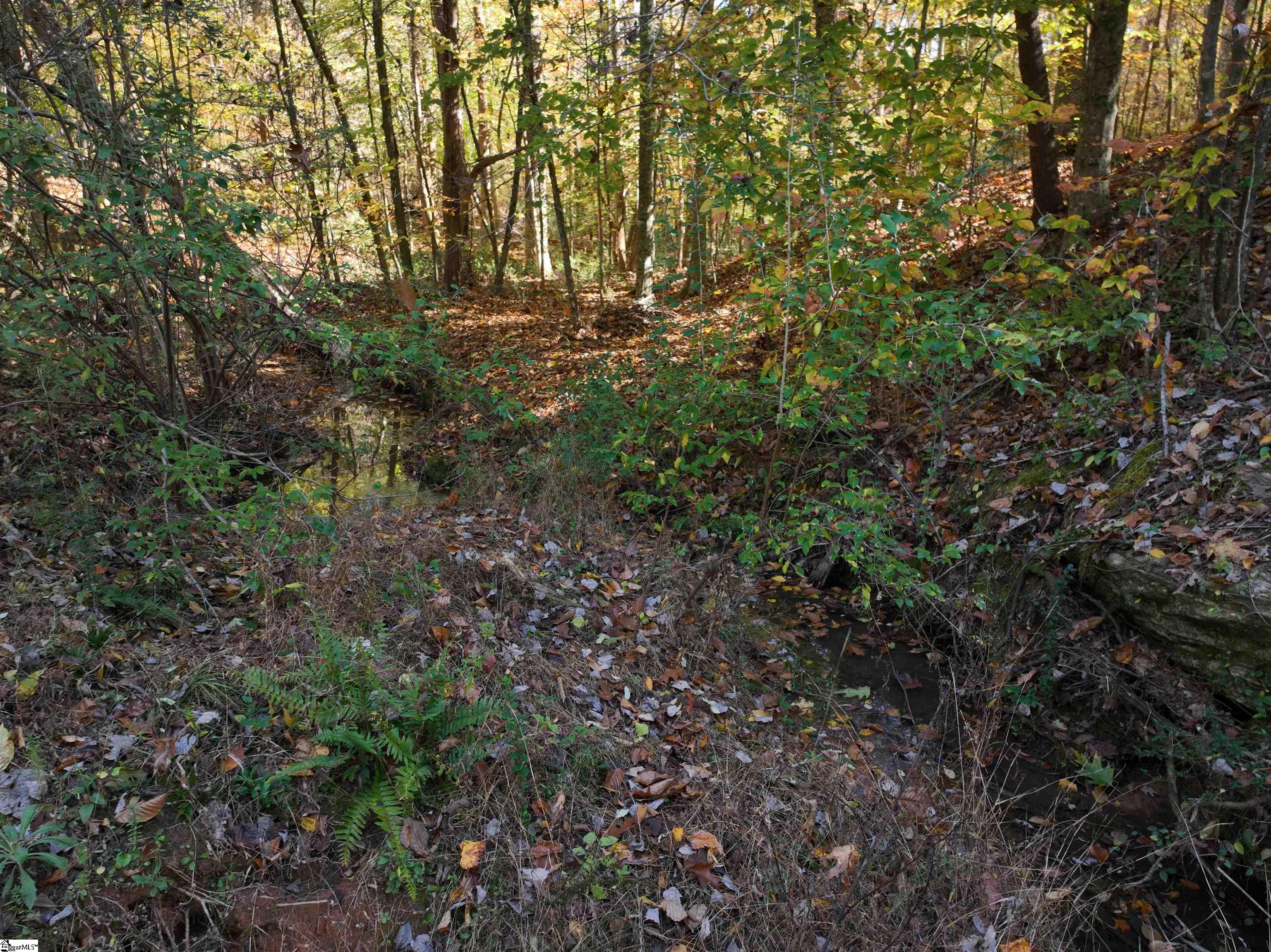 2 Patterson Drive Laurens, SC 29360 - Photo 2 of 9