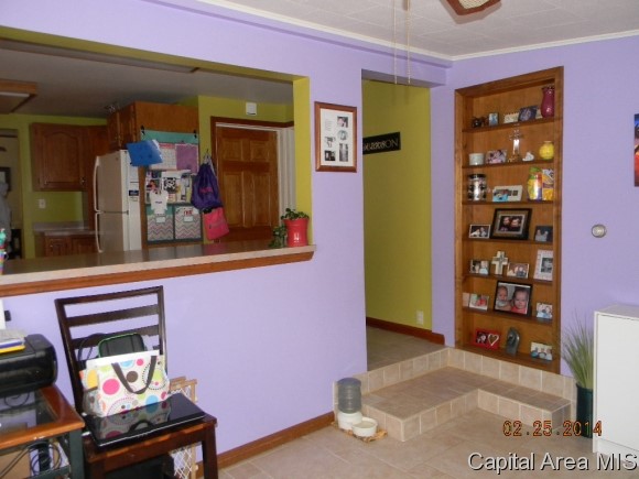 216 North Douglas Avenue Springfield, IL 62702 - Photo 8 of 11 Gallery Image 8