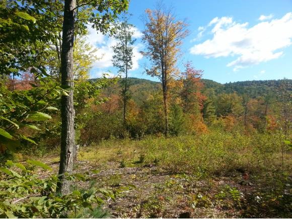 40 Page Road Campton, NH 03223 - Photo 20 of 20