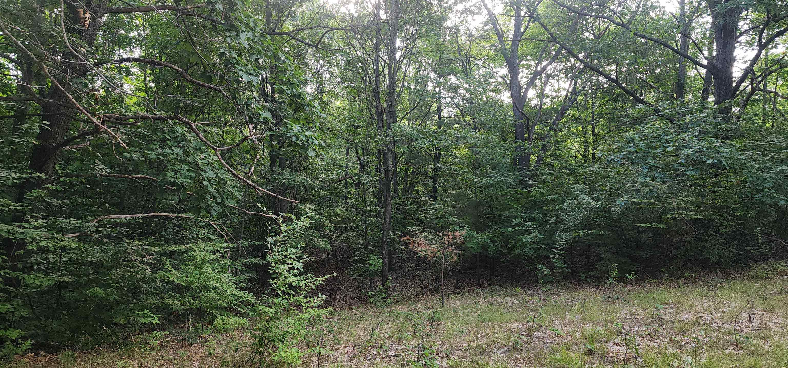 0 West Phelps Road Manton, MI 49663 - Photo 11 of 12