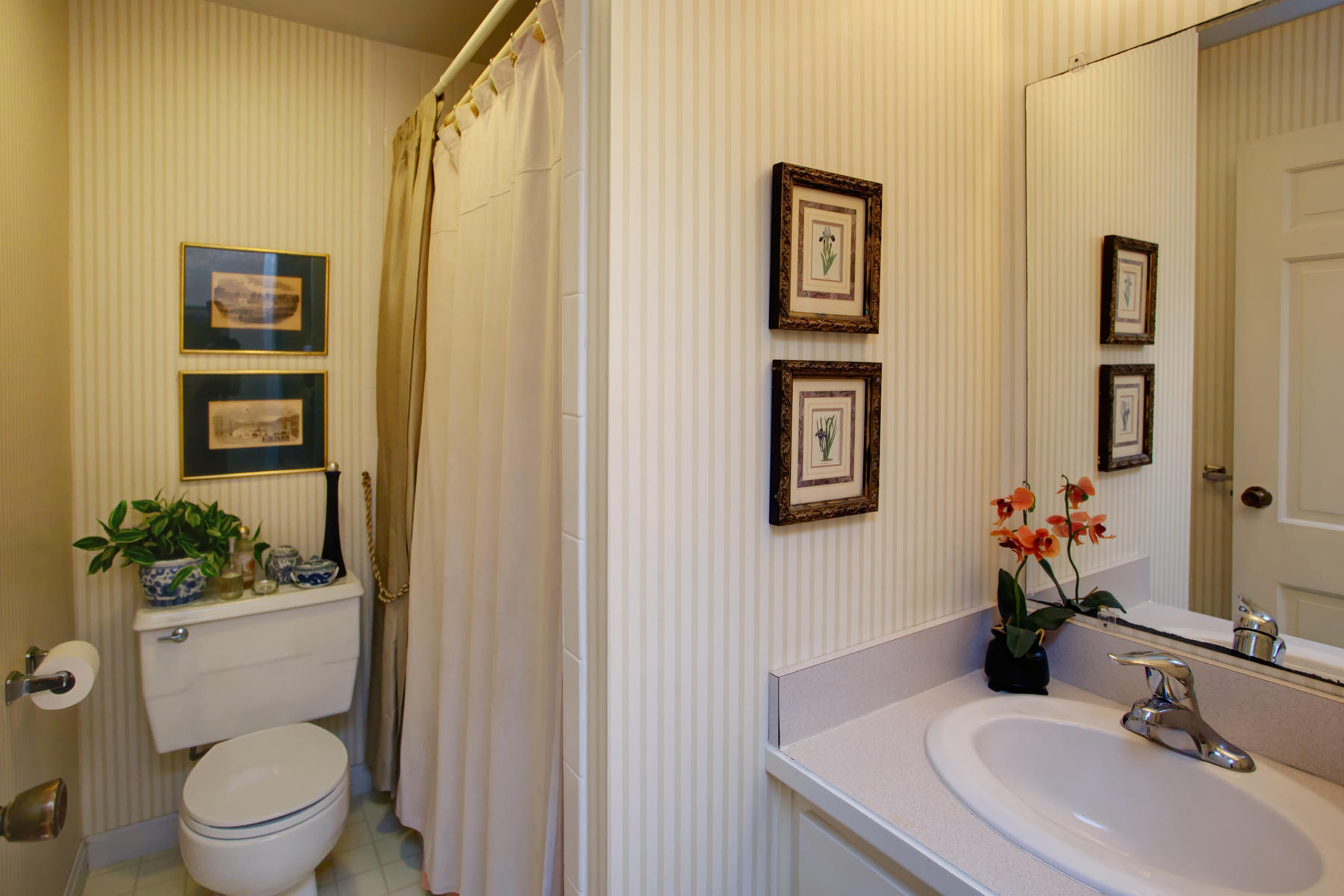 120 Fuller Road Centerville, MA 02632 - Photo 28 of 35 a bathroom with a toilet a sink and mirror