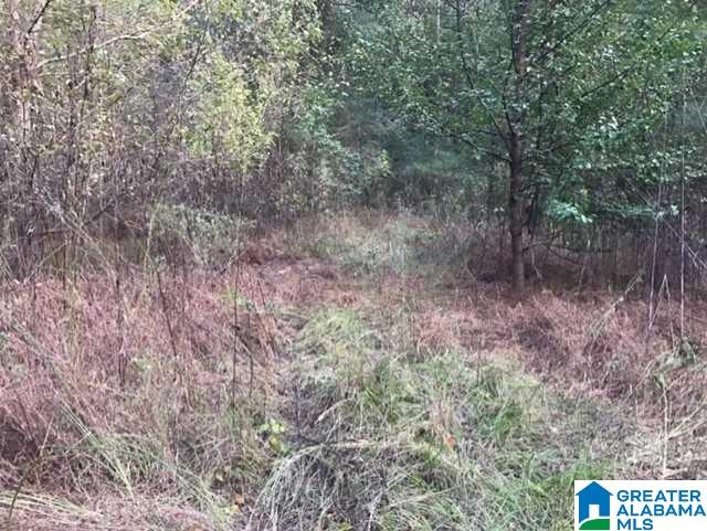 5577 Red Hollow Road, Unit 5 Birmingham, AL 35215 - Photo 3 of 12
