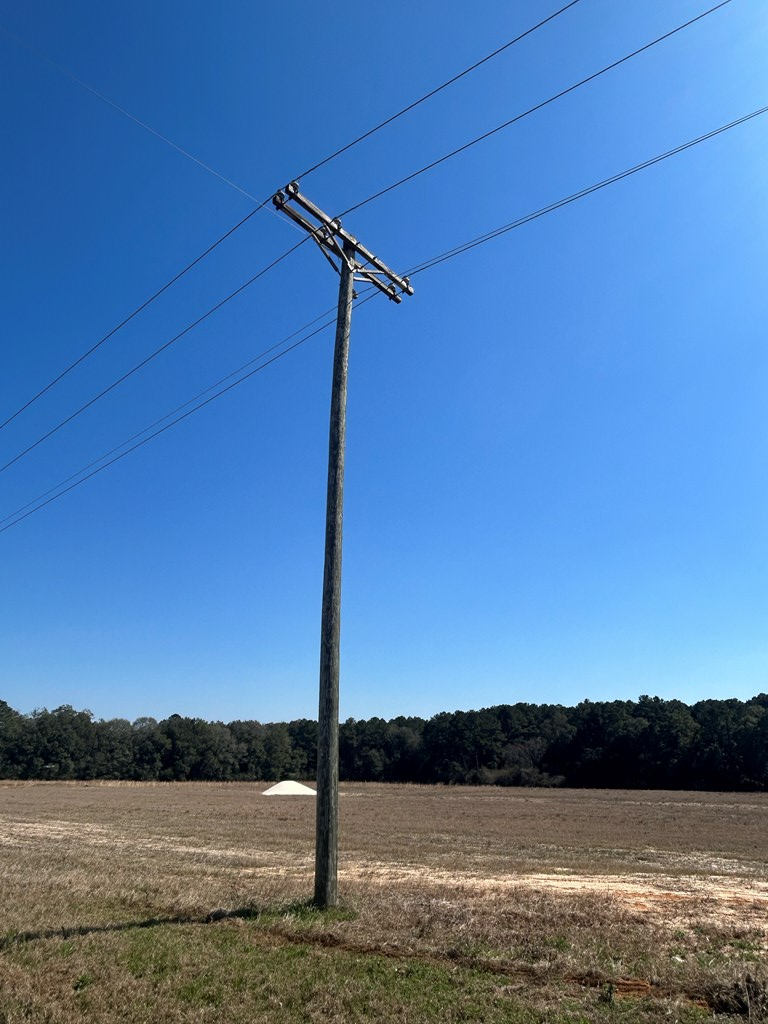 15-ac Webb Road Dothan, AL 36301 - Photo 12 of 33