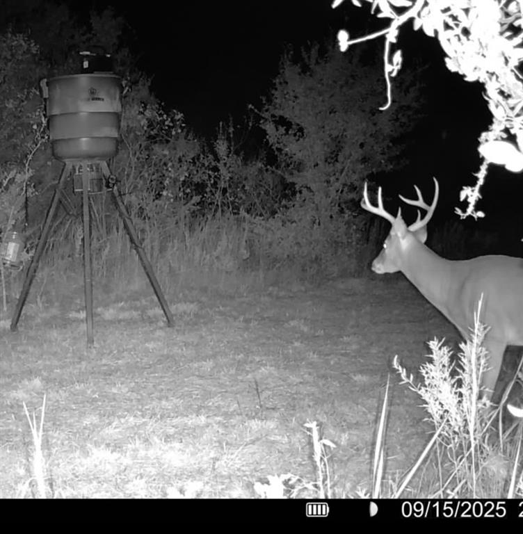 13762 Southwest Fm 639 Barry, TX 75102 - Photo 2 of 35 a view of a backyard