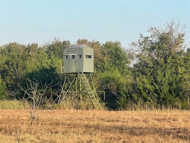 a view of a bench in the backyard