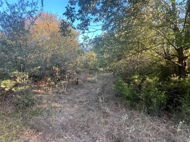 a view of yard from a city