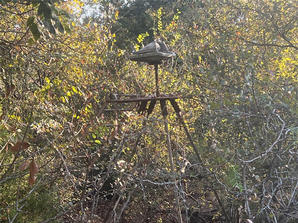 13762 Southwest Fm 639 Barry, TX 75102 - Photo 29 of 35 a view of a tree with a tree