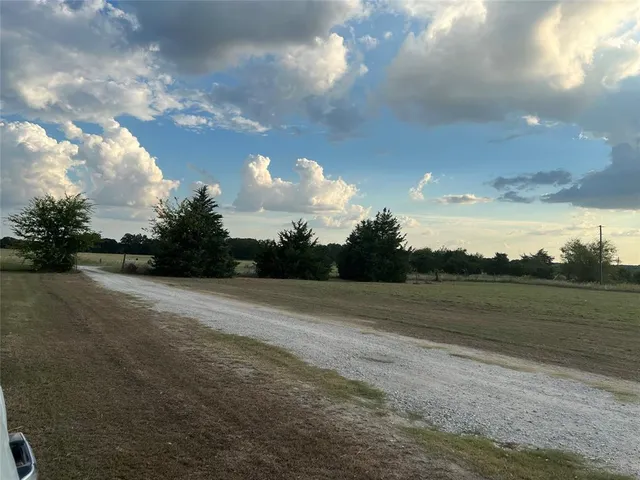 a view of a yard with plants