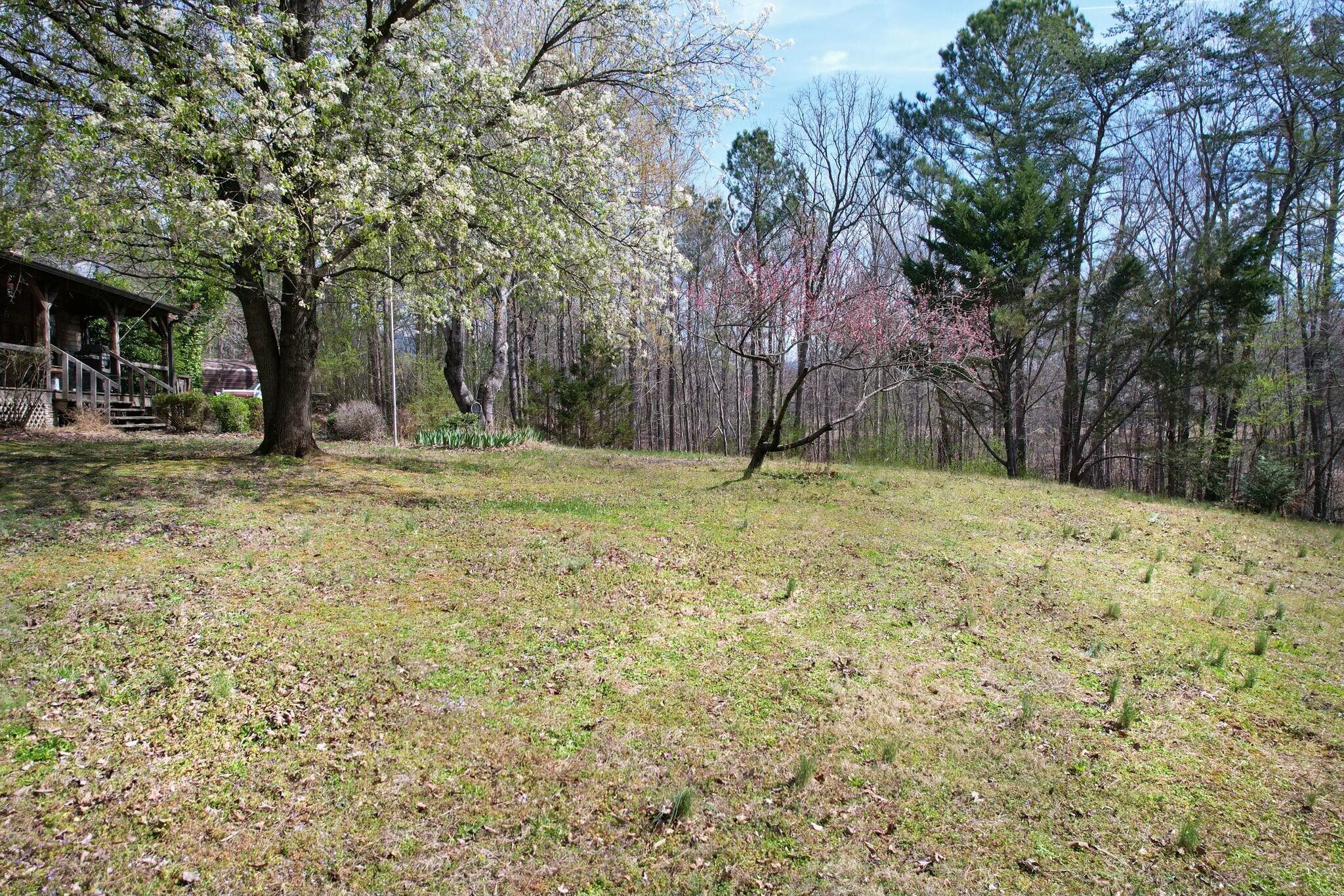 561 Mountain View Road Chatsworth, GA 30705 - Photo 17 of 26 tempImage2UtB0L