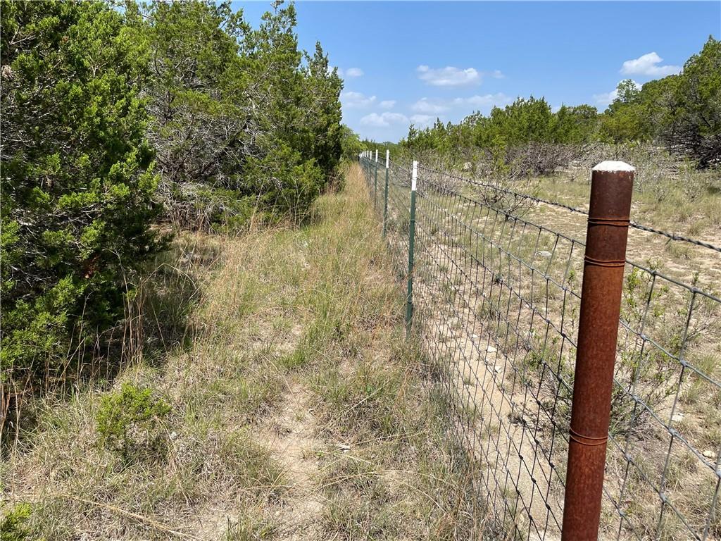 271 Ridgeline Road Leander, TX 78641 - Photo 11 of 20 a view of a forest with a tree
