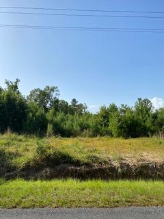0 Wesley Grove Road Round O, SC 29474 - Photo 1 of 5 Wesley Chapel 3
