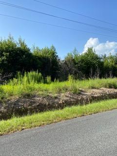 0 Wesley Grove Road Round O, SC 29474 - Photo 2 of 5 Wesley Chapel Rd 1