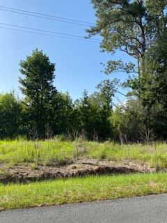 0 Wesley Grove Road Round O, SC 29474 - Photo 3 of 5 Wesley Chapel Rd 2