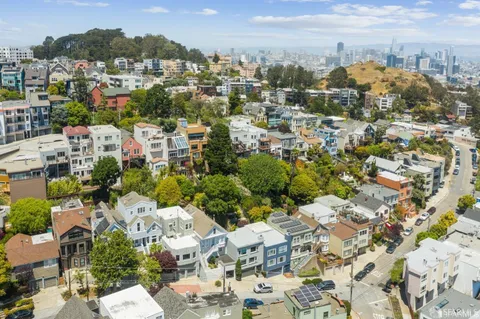 a plant that is in front of a house