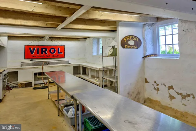 a view of a house with backyard and a tree