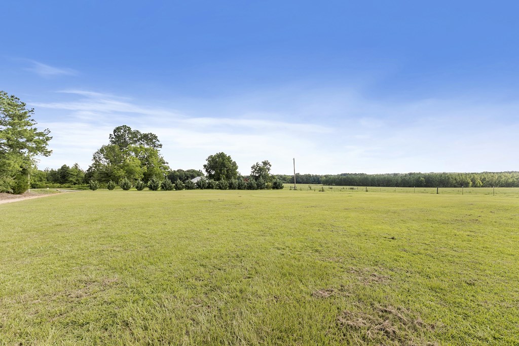 351 Hayborn Road Webb, AL 36376 - Photo 42 of 57