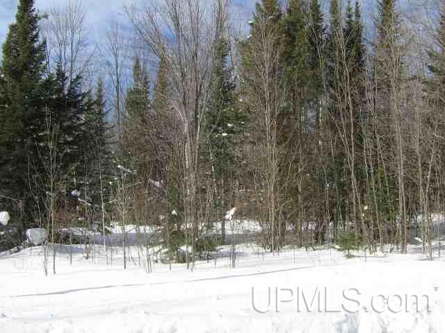 Tbd Calumet Road Ontonagon, MI 49953 - Photo 1 of 4