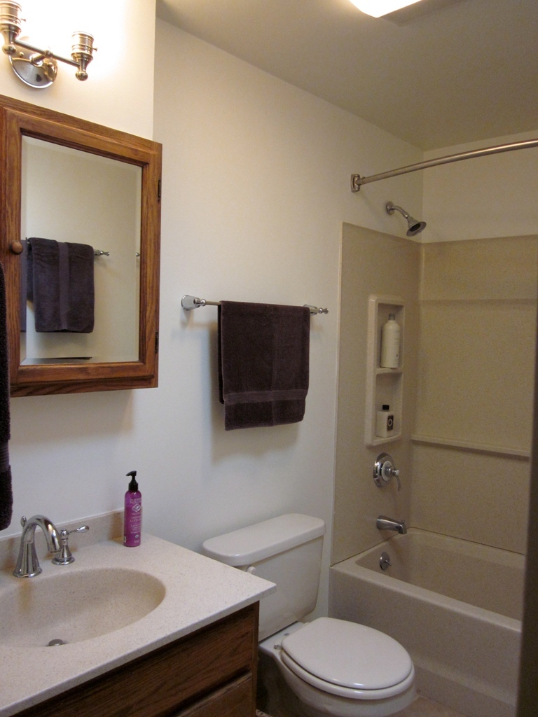 2580 Mason Hill Road Pownal, VT 05261 - Photo 9 of 11 bath